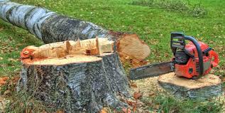 Best Tree Risk Assessment  in Godfrey, IL