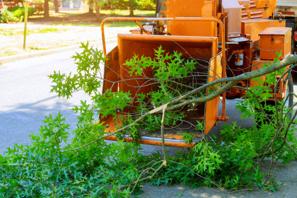  Godfrey, IL Tree Services Pros